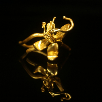 Кольцо в золоте, дерево Гагарина