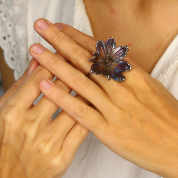 Кольцо в серебре, Космея