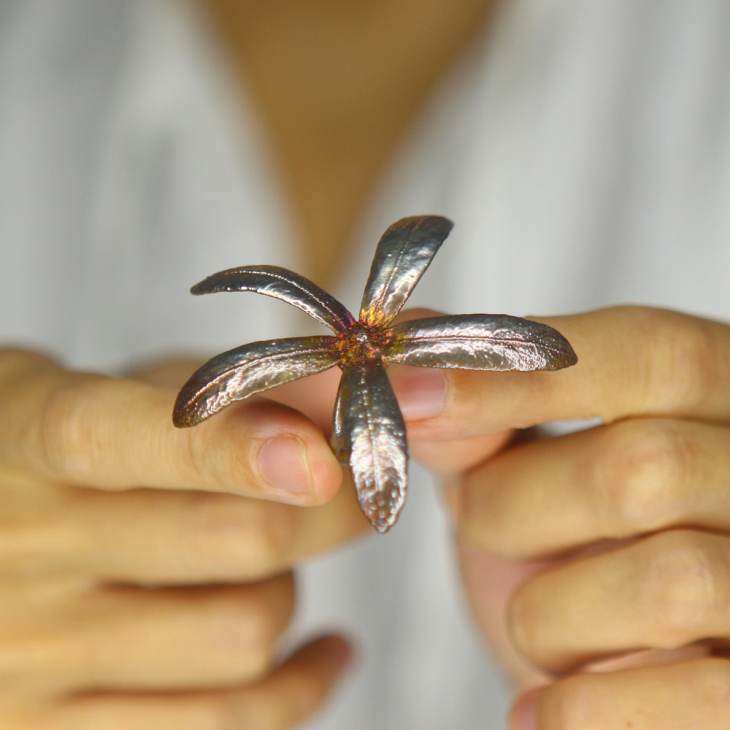 Кольцо в серебре, Венок Королевы, фото 2